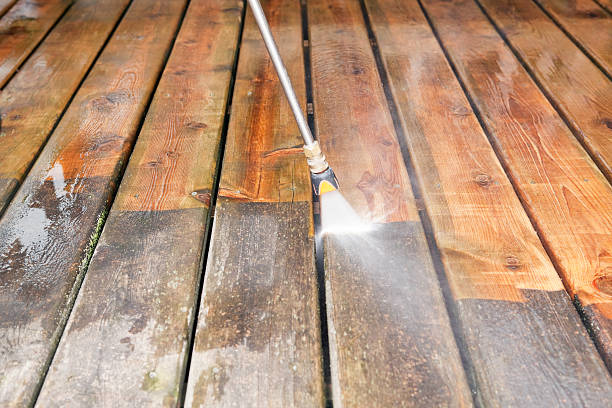 Best Dumpster Area Cleaning  in Fredonia, WI